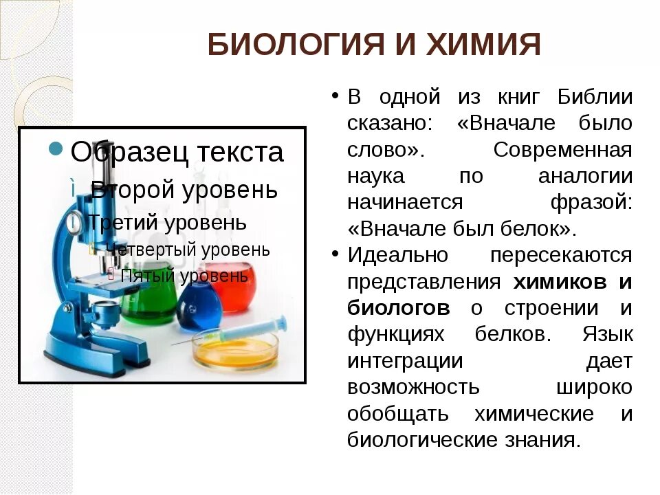 Проекты для 10 класса биология и химия Отчет о проведении недели химии и биологии