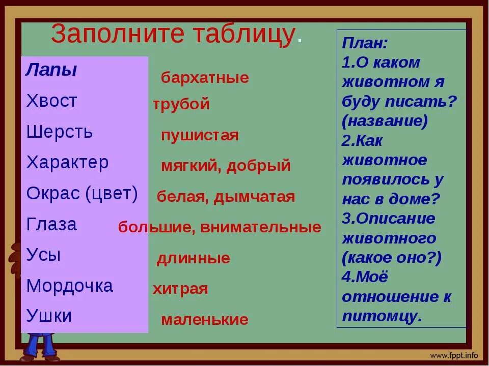 Сочинение описание животного 5. План сочинения описания животного. Сочинение описание животного 5 класс. План описания животного 5 класс.