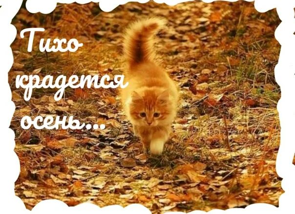 Завтра осень. До осени осталось. Без пяти минут август картинки. Сколько дней осталось до осени. До осени осталось 2 дня.