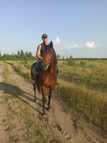 Конные прогулки в лосином острове. Прогулка на конях. Архангельская 20б конный двор. Конные прогулки липецк. Конные прогулки липецк.