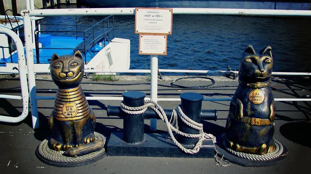 Корабельный кот. Кот Клайпеда. Скульптура кот и пес. Памятник Корабельному коту Владивосток. Корабельный пес.