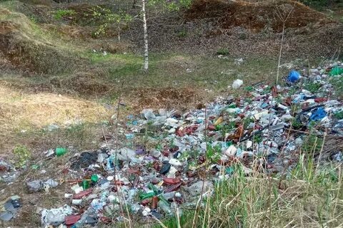 Ликвидируют ли