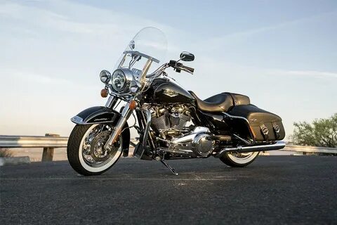 Harley king