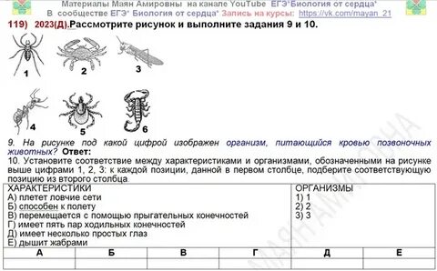 Спецификация егэ по биологии