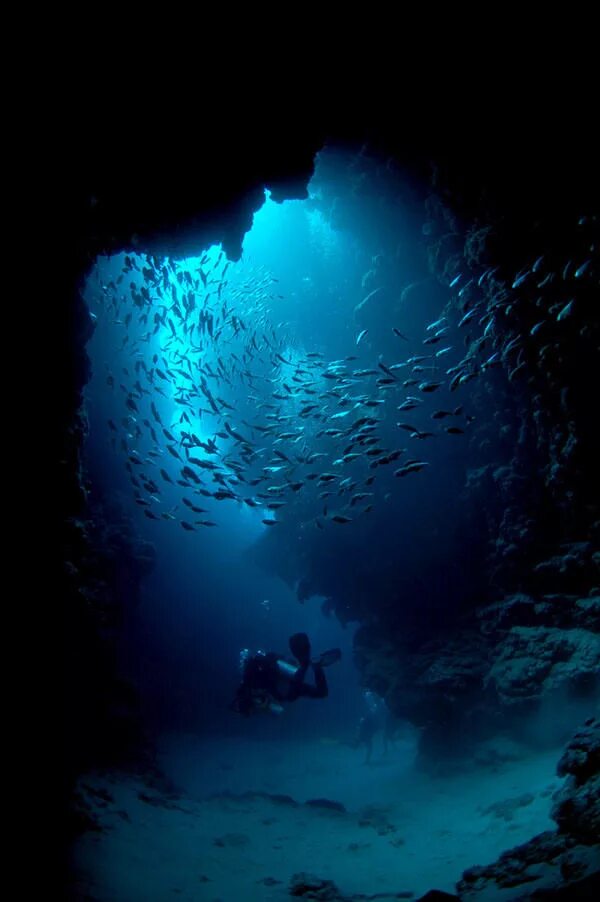 Мир подводной глубине. Подводный каньон Дахаб Египет. Океаны. Глубина. Морские глубины. Море глубина.