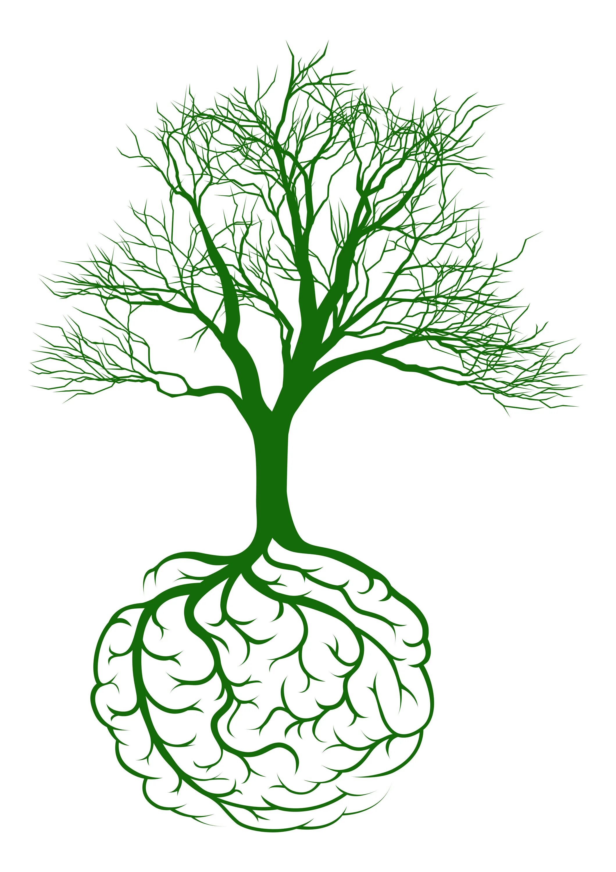 Слова с корнем мозг. Мозг в корнях дерева. Дерево мозг. Корневое дерево мозга. Дерево для мозгов.