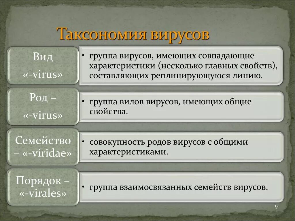 Вирусы 1 группы. Таксономия вирусов. Таксономия и классификация вирусов. Таксономия вирусов и принципы классификации. Принципы систематики вирусов.