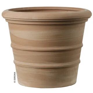 Vaso