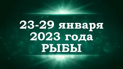 10 фев 2023