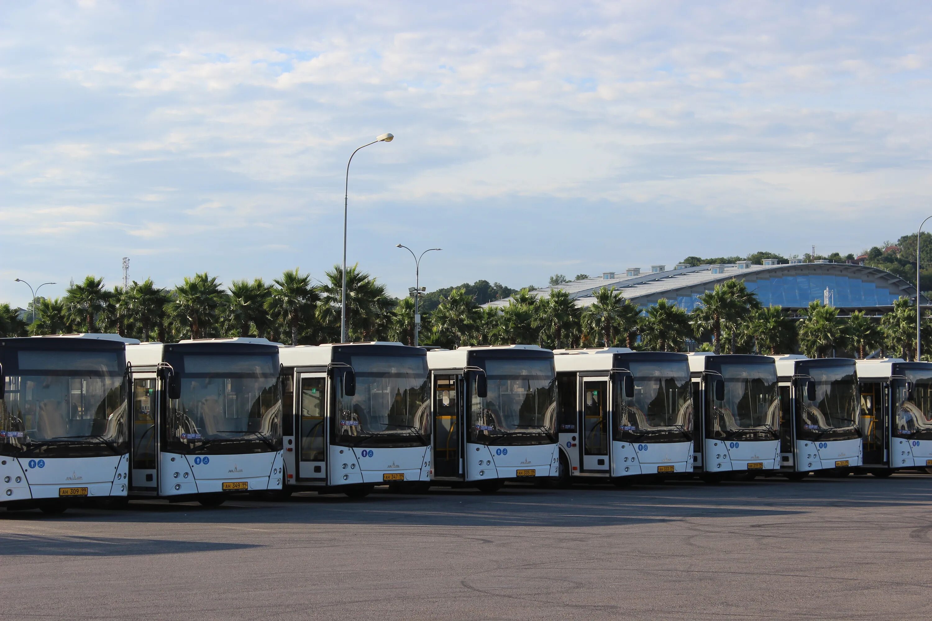 Автобусы Сочи. Общественный транспорт Сочи. Городской транспорт Сочи. Автобусы в Олимпийском парке.