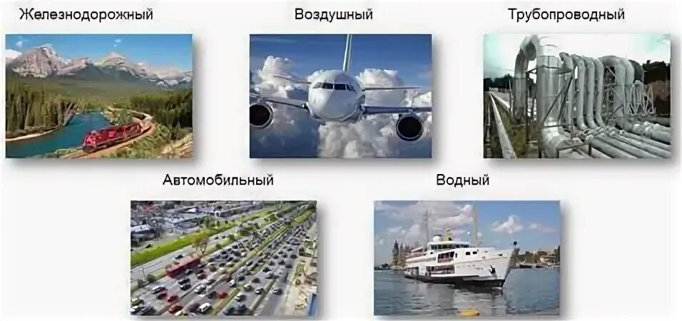 Хозяйственная деятельность населения городское и сельское население