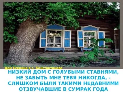 С голубыми ставнями мем