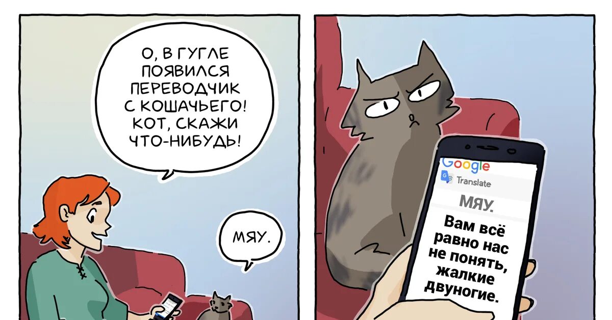 Разговаривать с кошкой переводчик. Как разговаривать с кошкой. Книга разговоры с котами. Переводчик для кошек. Кошачий переводчик.