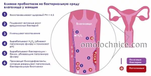 Молочница в кишечнике