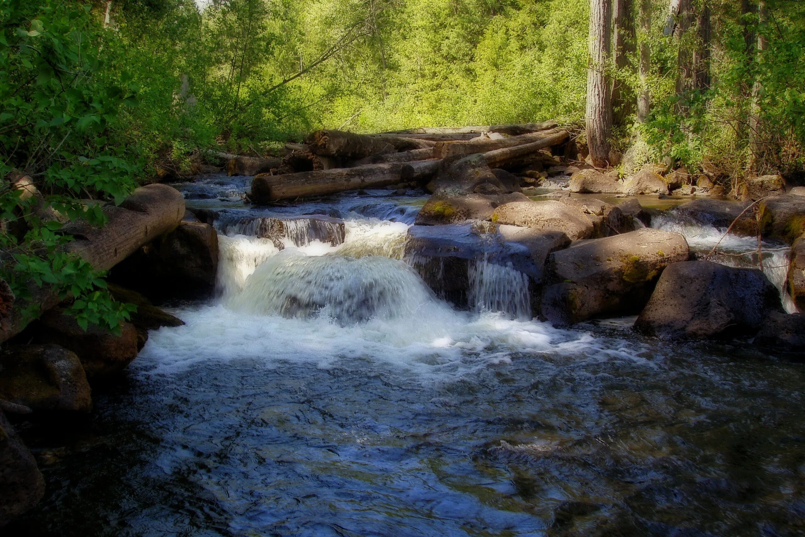 Рек и а вода становилась. Река Вонча. Чистая река. Вода река. Чистая вода в реке.