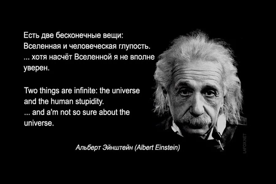 Оформзмы оглупых лядчх. Марк твен цитаты. Марк твен высказывания и афоризмы. Всякую глупость. Альберт эйнштейн про глупость.