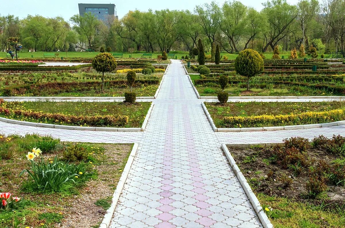 Кишинев с 3. Дендрариум Самарканда. Parcul Dendrarium Кишинев. Кишинёв Долина роз Дендрариум. Дендрарий Кишинев фото.