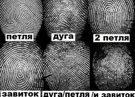 Отпечатки 10 пальцев