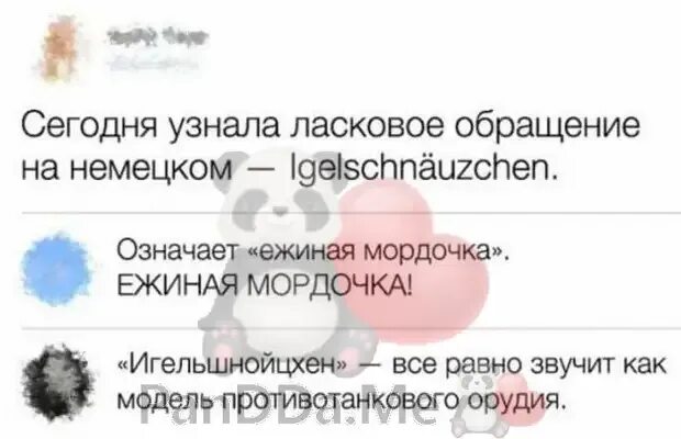 Как ласково обратиться к мужчине. Ласковые обращения на немецком. Ласковые обращения. Ласковое обращение на немецком ежиная мордочка. Ласковые слова на немецком.