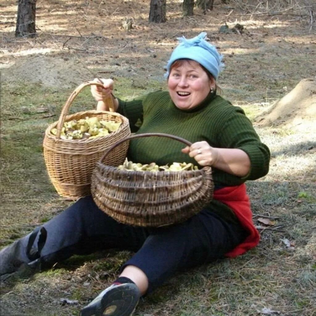 Белый гриб. Грибники в лесу. Что за гриб. Что за гриб. Грибники в лесу.