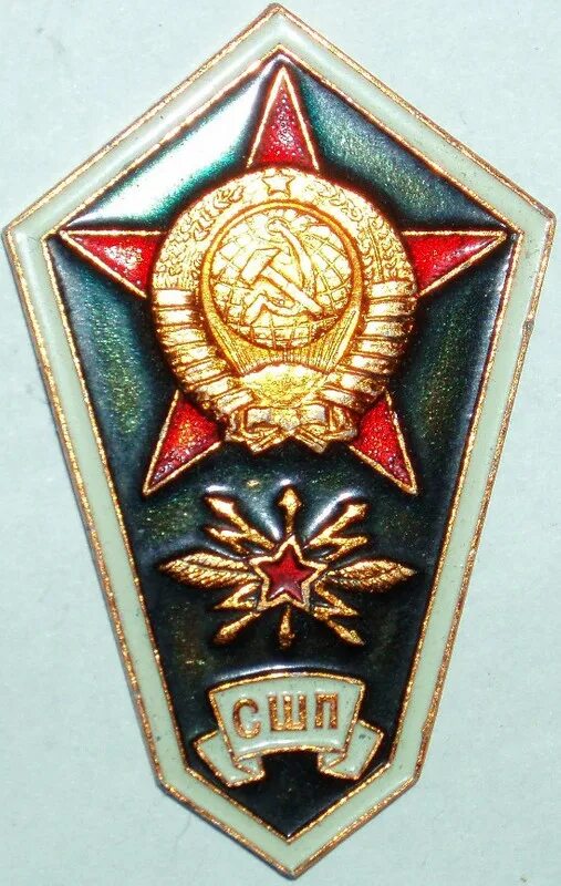 Прапорщиков найти. Значок школа прапорщиков.