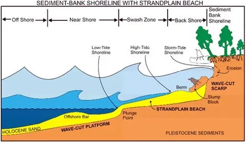 Sediment