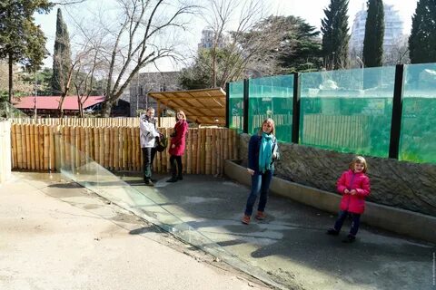 Зоопарк тбилиси