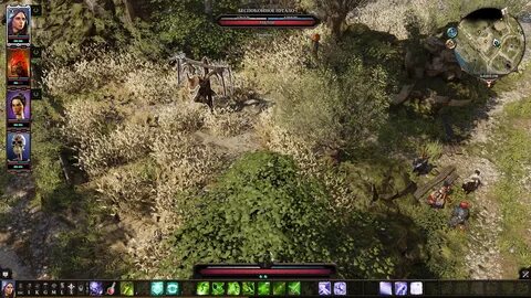 Divinity original sin 2 чернокорень