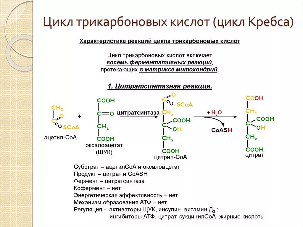 Кислота среди соединений. Цикл трикарбоновых кислот биохимия. Цикл трикарбоновых кислот ЦТК биохимия. Цикл трикарбоновых кислот биохимия кратко. Цикл трикарбоновых кислот окисляет.