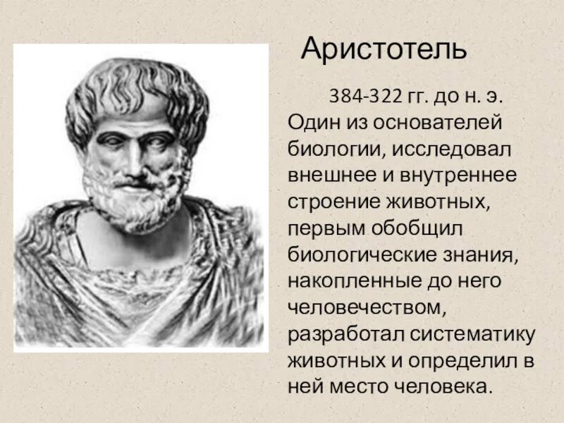 ), управление. Древнегреческий ученый аристотель. Аристотель краткая информация. Аристотель утверждал что. Аристотель биолог.