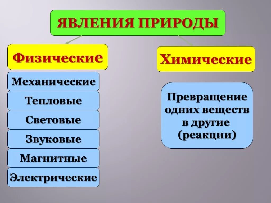 Биологический явления природы