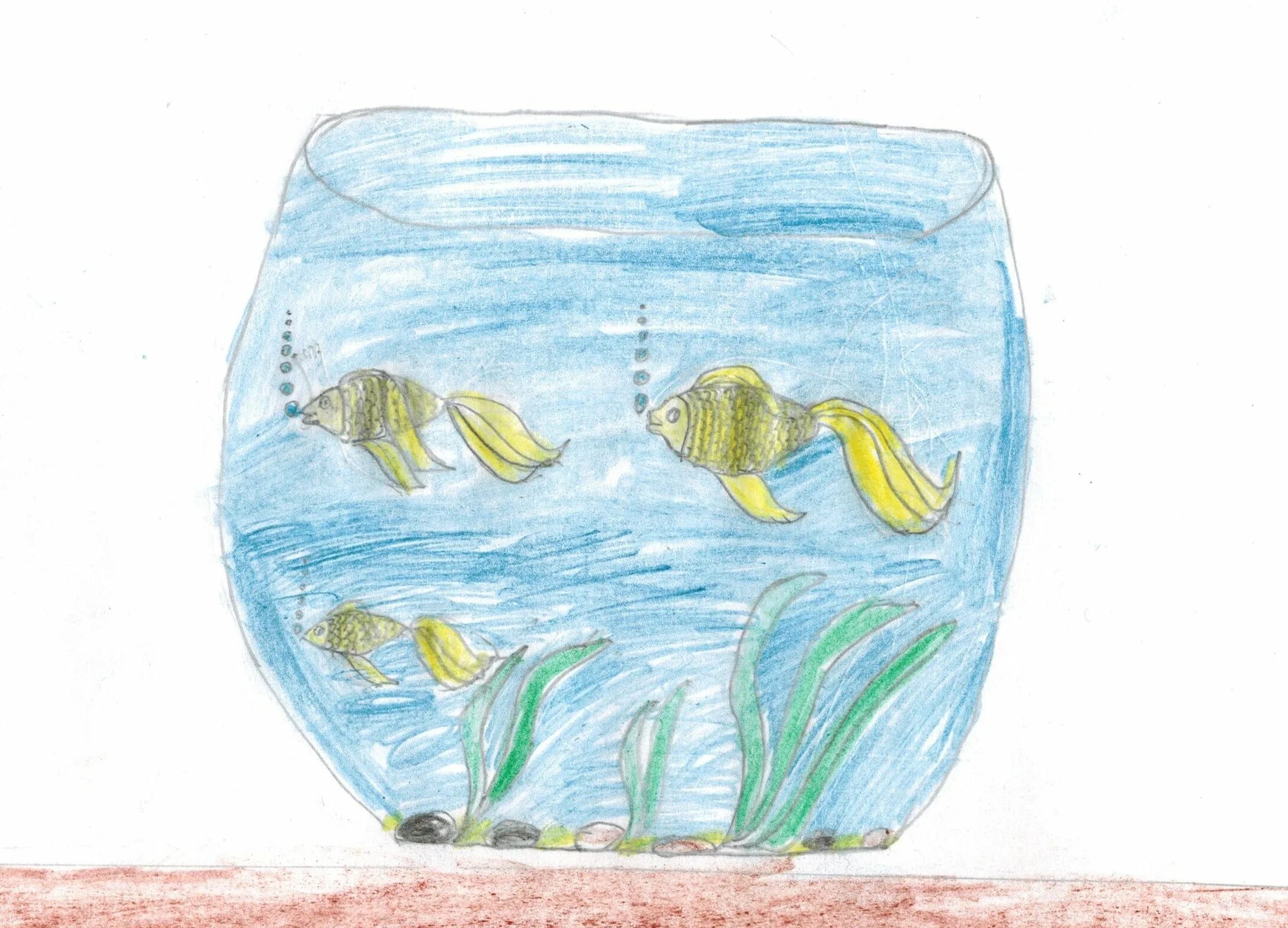 Рыбки плавающие в аквариуме средняя группа. Сен Санс аквариум. Сен-Санс карнавал животных аквариум.