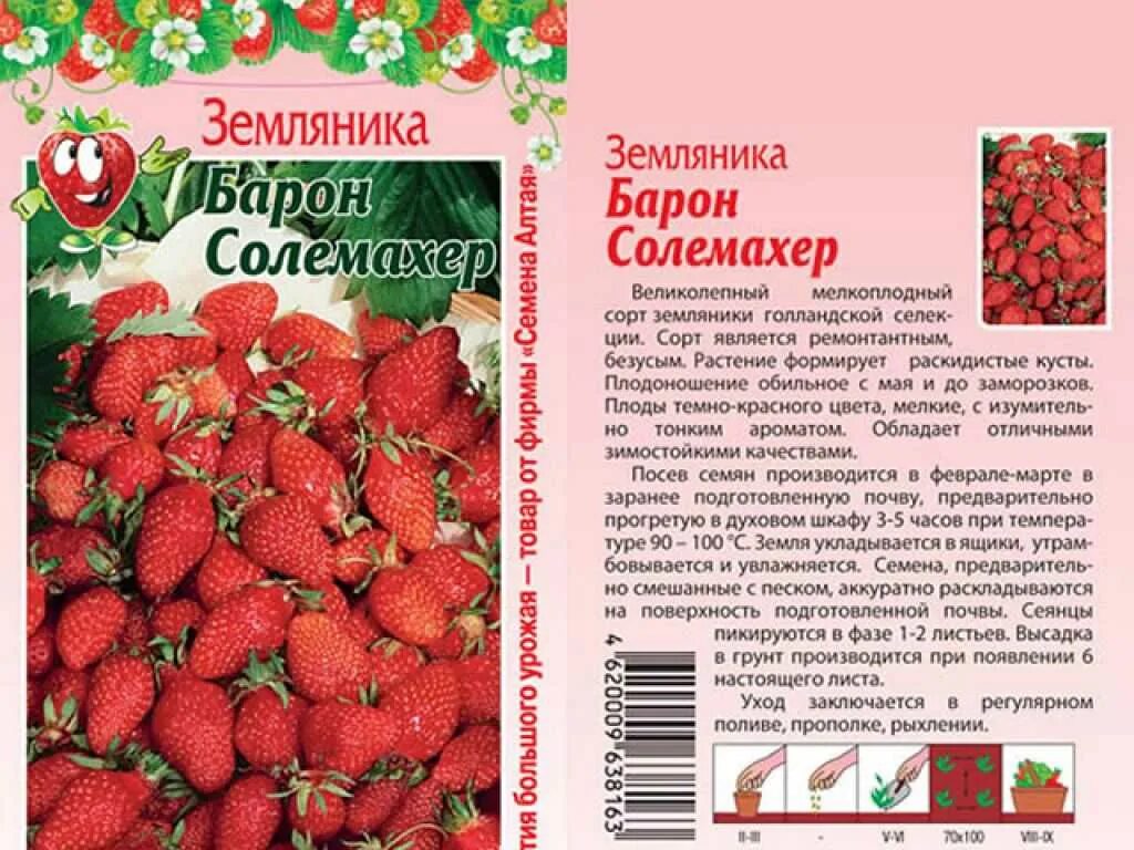 Клубника салехард. Земляника Барон Солемахер семена Алтая. Земляника Садовая Барон Солемахер. Клубника Барон Солемахер описание сорта. Семена земляники Барон Солемахер.