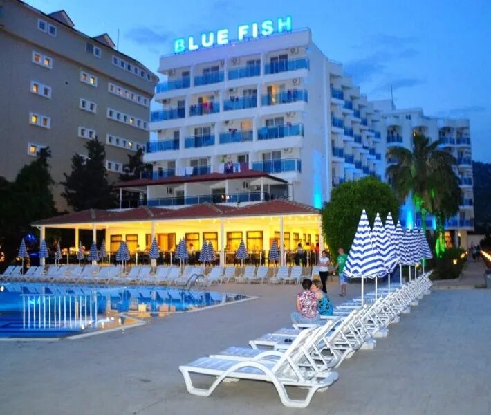 A blue fish. Королевский хромис. A blue fish. Турция,конаклы,blue fish hotel. Хромис морская рыбка.