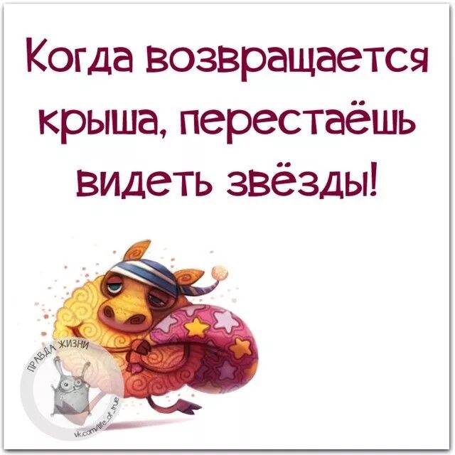 Рано утром вернется моя крыша. Когда возвращается крыша перестаешь видеть звезды. высказывания типо когда возвращается крыша перестаешь видеть звезды.