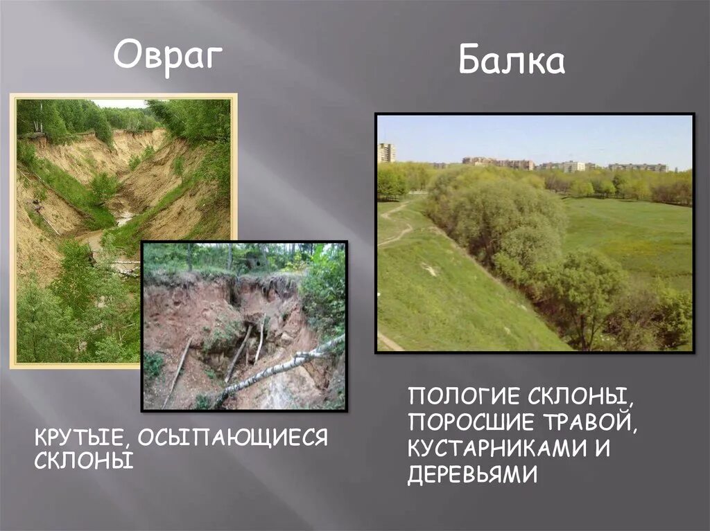 Сведения поверхности края. Презентация поверхность нашего края. Овраг. Поверхность нашего края 4 класс. Проект поверхность нашего края.