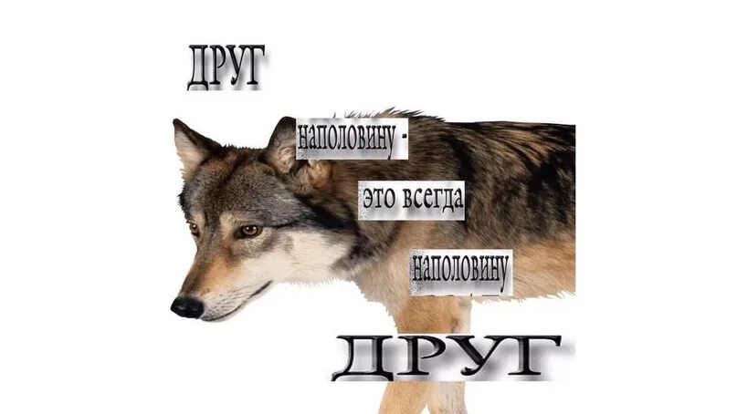 Про ауф