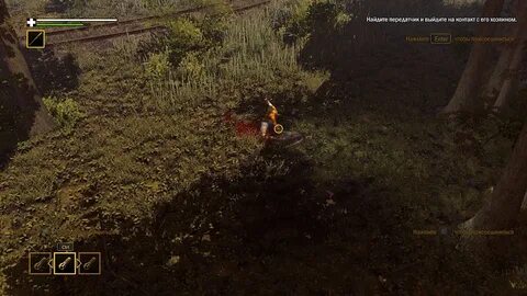 Survive на пк