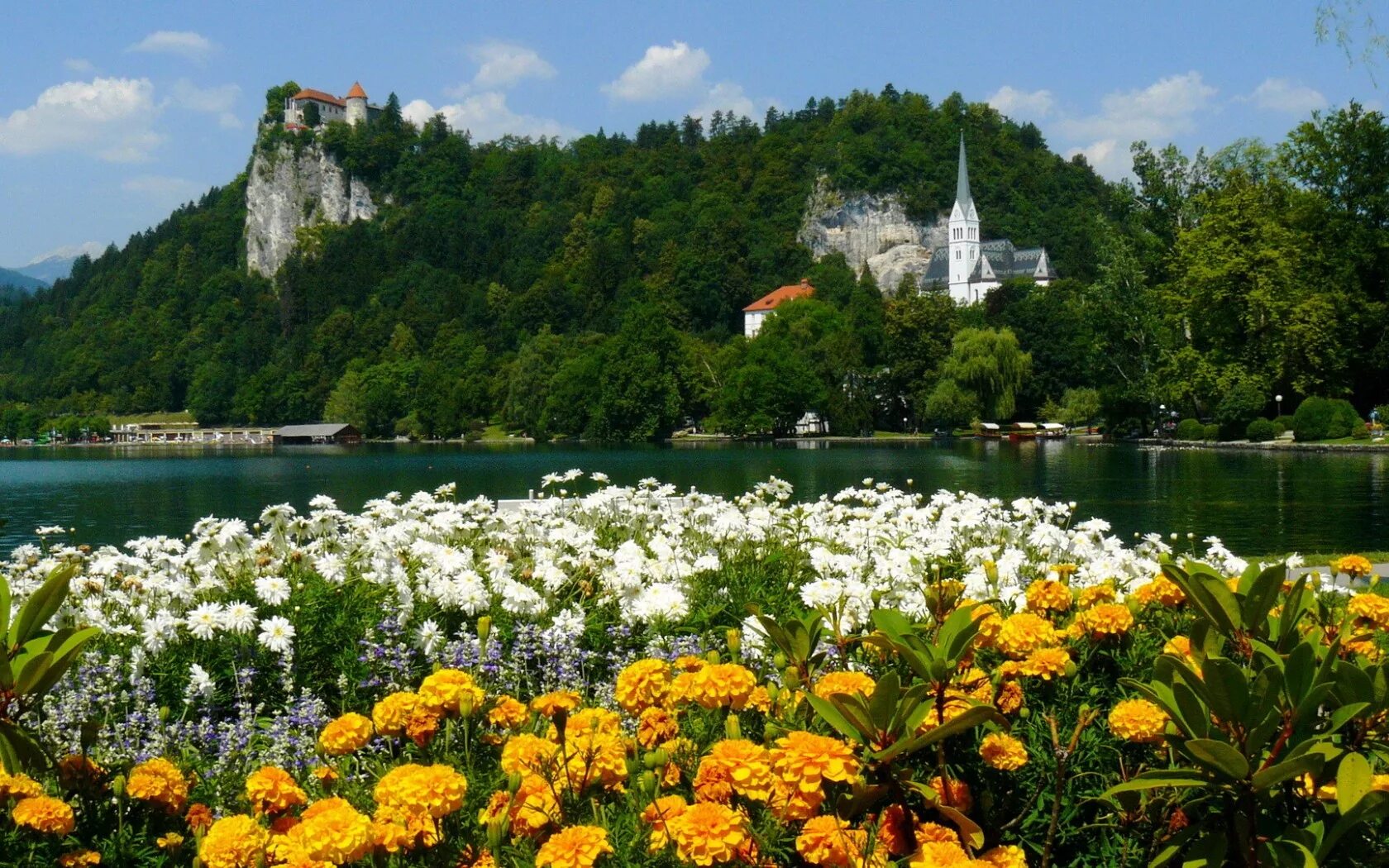 Озеро Bled Словения. Город Блед Словения парки города. Альпийские Луга Германии. Словения Альпы.