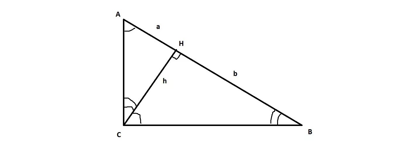 Высота из прямого угла прямоугольного треугольника. Высота проведенная из прямого угла прямоугольного треугольника. Высота исходящая из вершины прямого угла. Высота проведенная из вершины прямого угла. Нарисовать высоту прямоугольного треугольника
