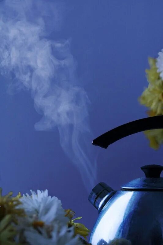 Кипящий чай. Чайник вскипел. Кастрюля с крышкой для закипания. Кипящий чайник для детей. Песня закипаю закипаю закипаю кругом.