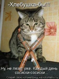 Узкая не лезет