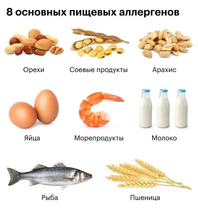 Сильные продукты. 8 Основных аллергенов. Основные пищевые аллергены. Большая восьмерка пищевых аллергенов. Основные аллергенные продукты.