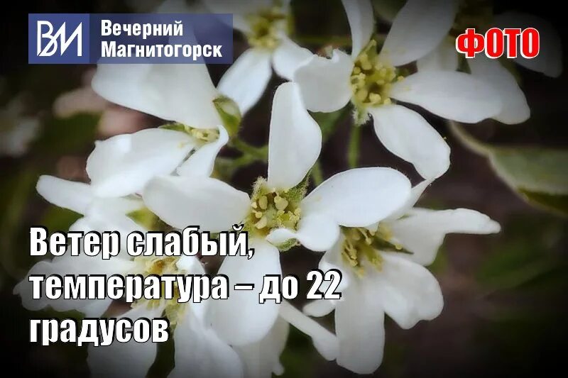 Последних майских