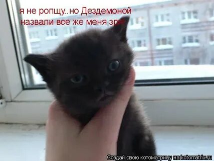 Роптать
