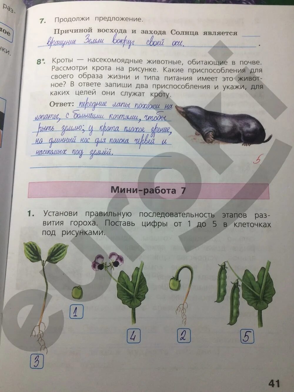 Решу впр 4 окружающий. Гдз по ВПР 4 класс окружающий мир ответы. Рабочая тетрадь по ВПР 4 класс окружающий мир. ВПР по окружающему миру 4 класс с ответами. Готовые домашние задания по ВПР 4 класс.