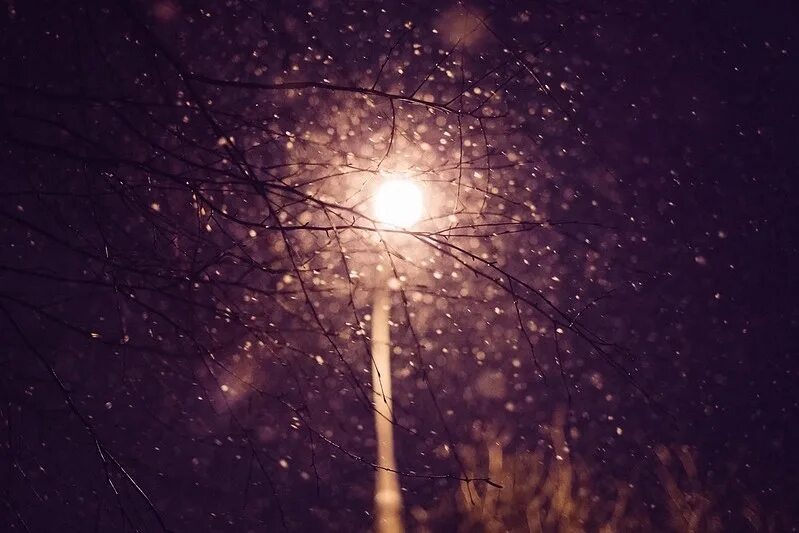 Снежинки в свете фонаря. Снегопад фонарь. Фонари ночью. Снег в свете фонаря. Снег фонарь.