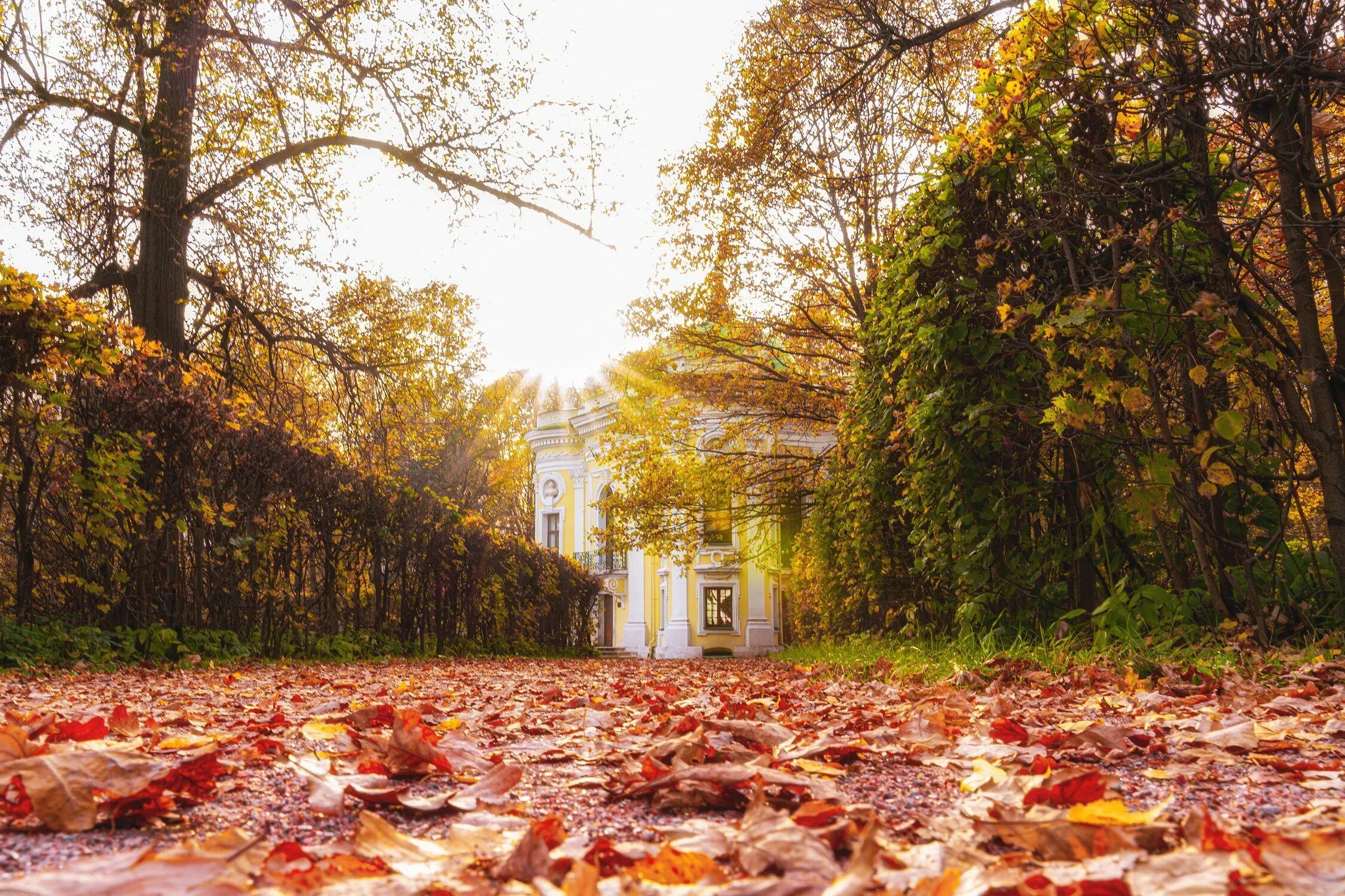 Усадьба Кусково Vladimir d'Ar Flickr