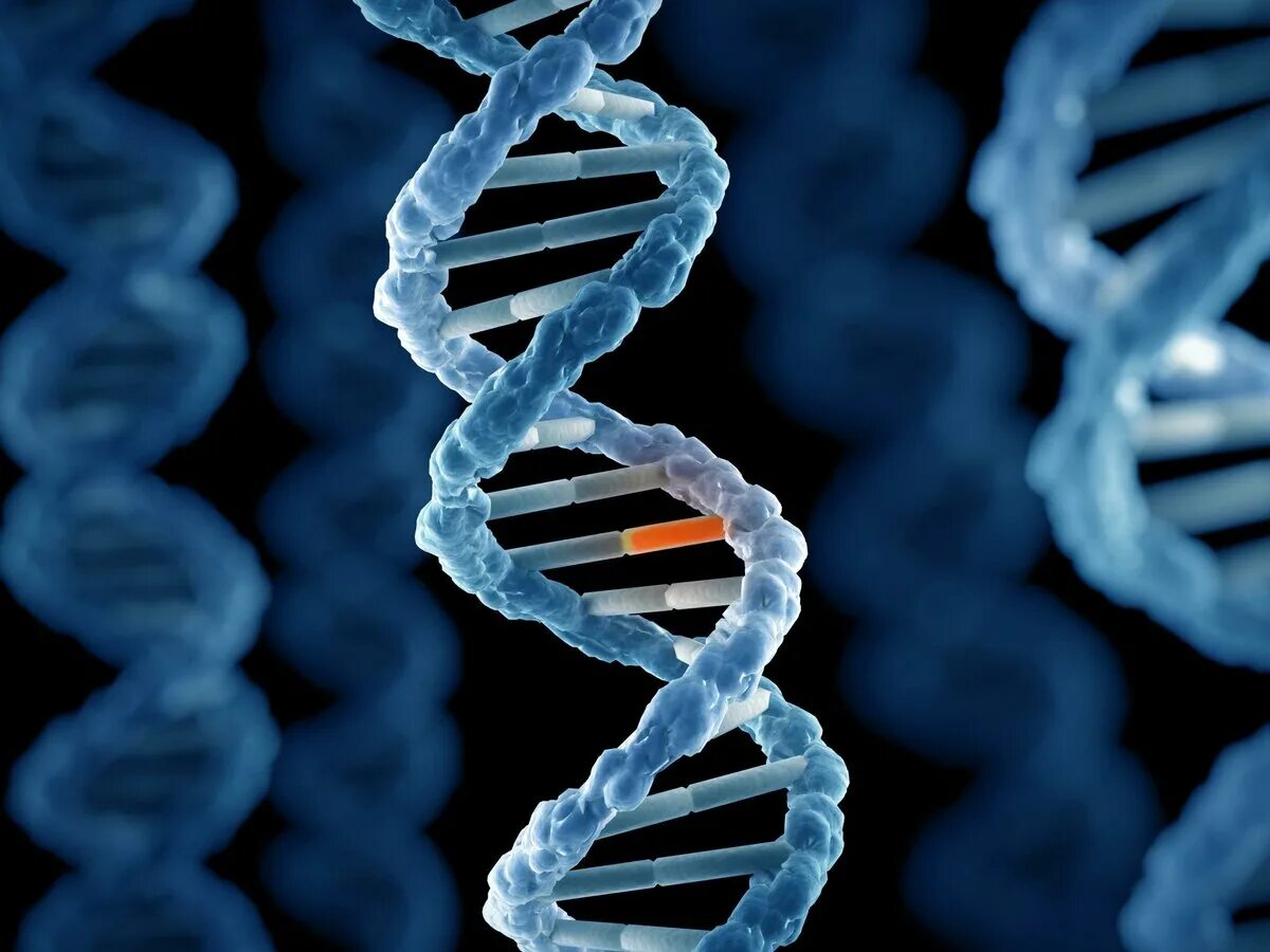 Мутагены ДНК. Мутагенез генетика. Ген col5a1. Гены и мутагены.