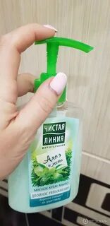 Чистая линия алоэ